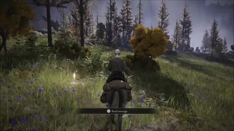 How to Get the Sword of Night and Flame Early