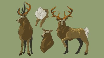 Deer