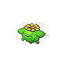 "Skiploom" Icon