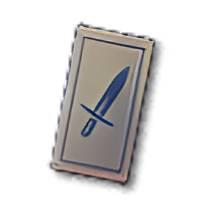 Item icon