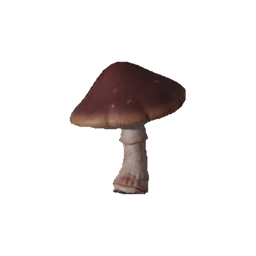 Map category icon