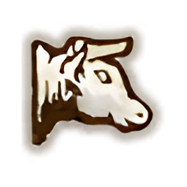 Map category icon