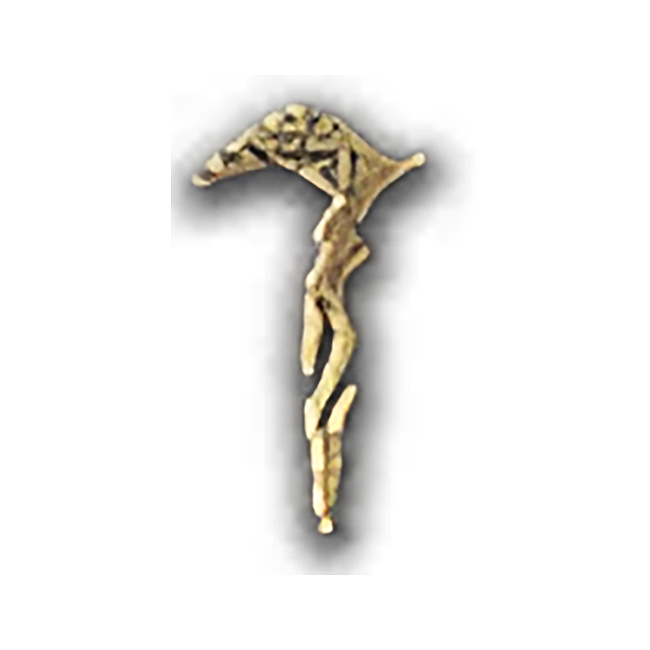Map category icon