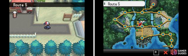 Route 5