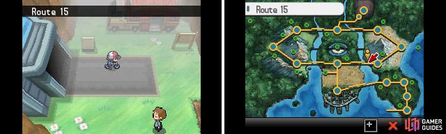 Route 15