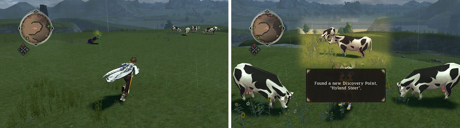 Pass the Dangeroma optional boss toward the cows for the Hyland Steer discovery.