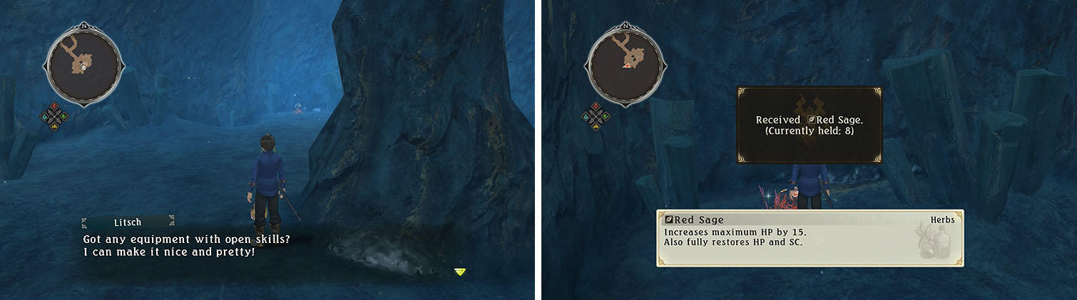 The dead end to the south of the save has a Normin and herb that you can collect.