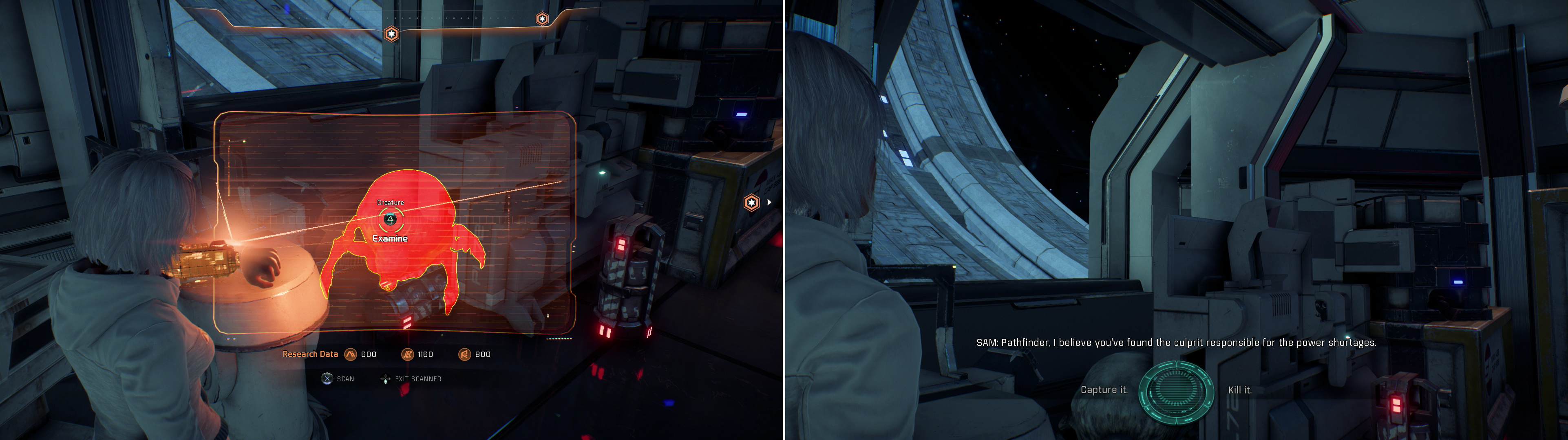 Find an alien bug in Kesh’s office (left) then decide what to do with the passive, nesting critter (right).