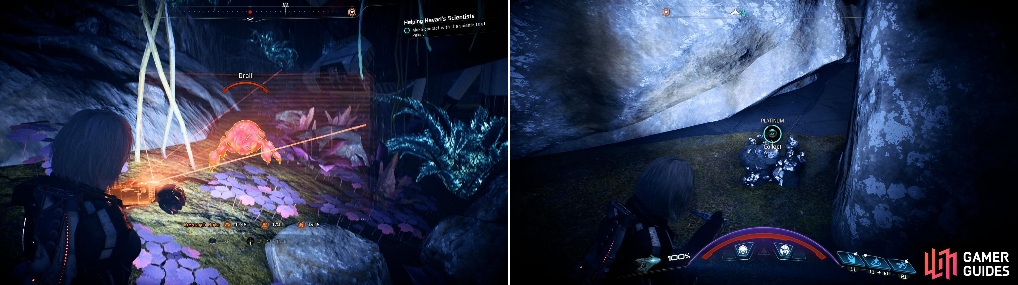 On Havarl you’ll find plentiful new lifeforms to scan (left) as well as abundant Platinum deposits (right).