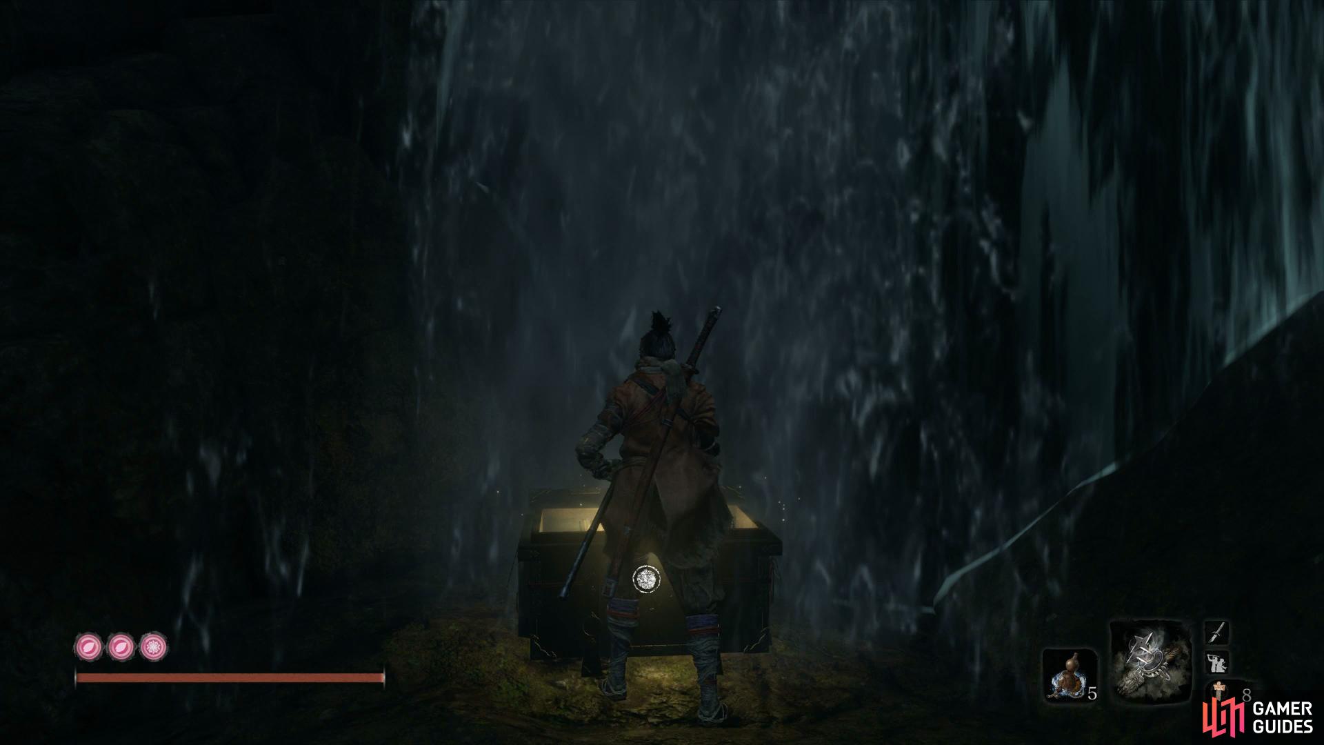 Swim up stream and search behind the waterfall for this chest.