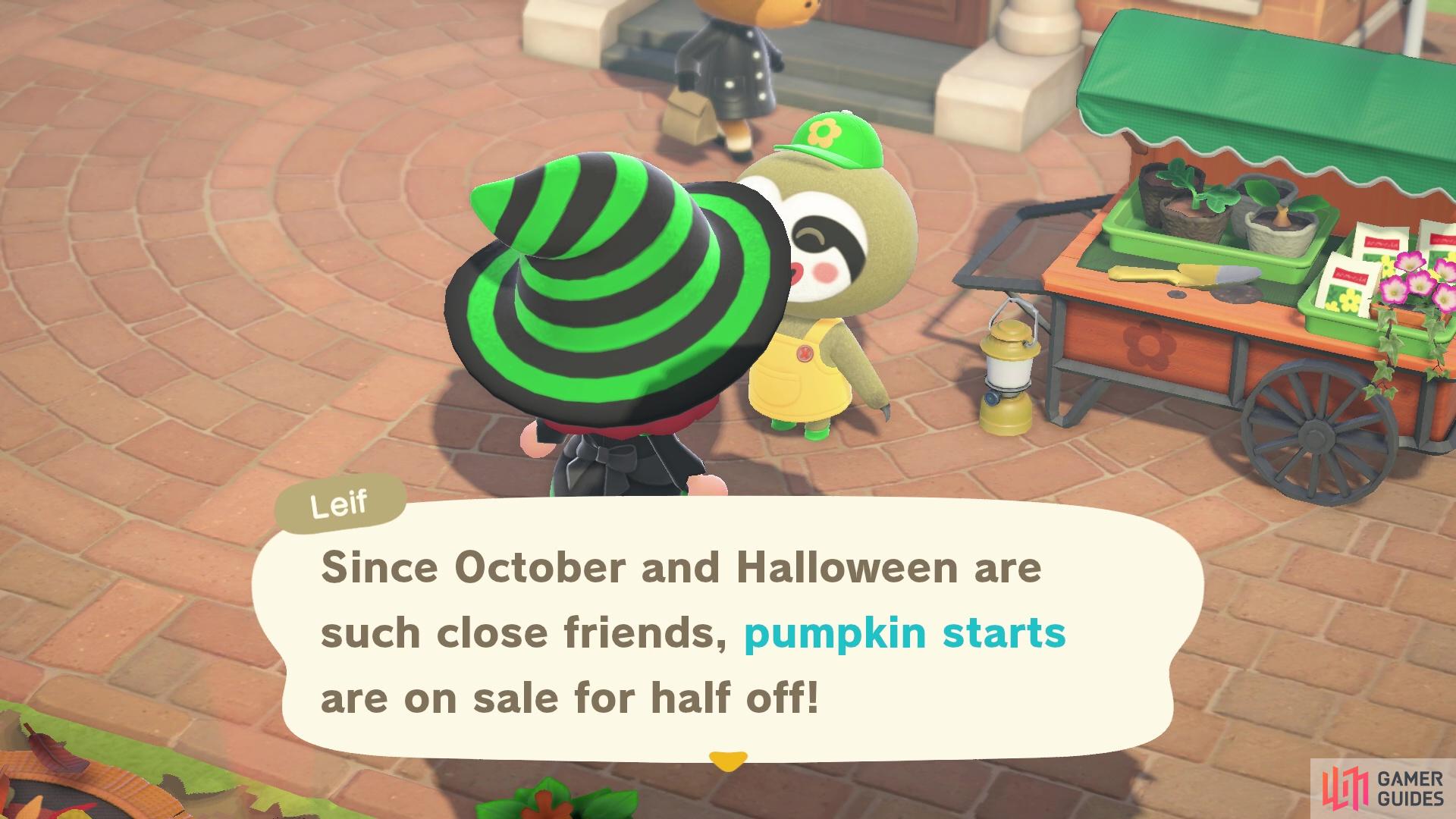 Leif will sell you pumpkin starts for half the price!