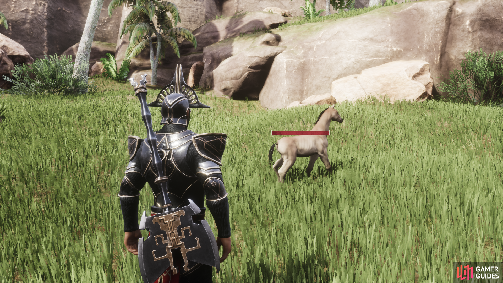 A foal roaming in the K5/K6 map quadrants in Conan Exiles