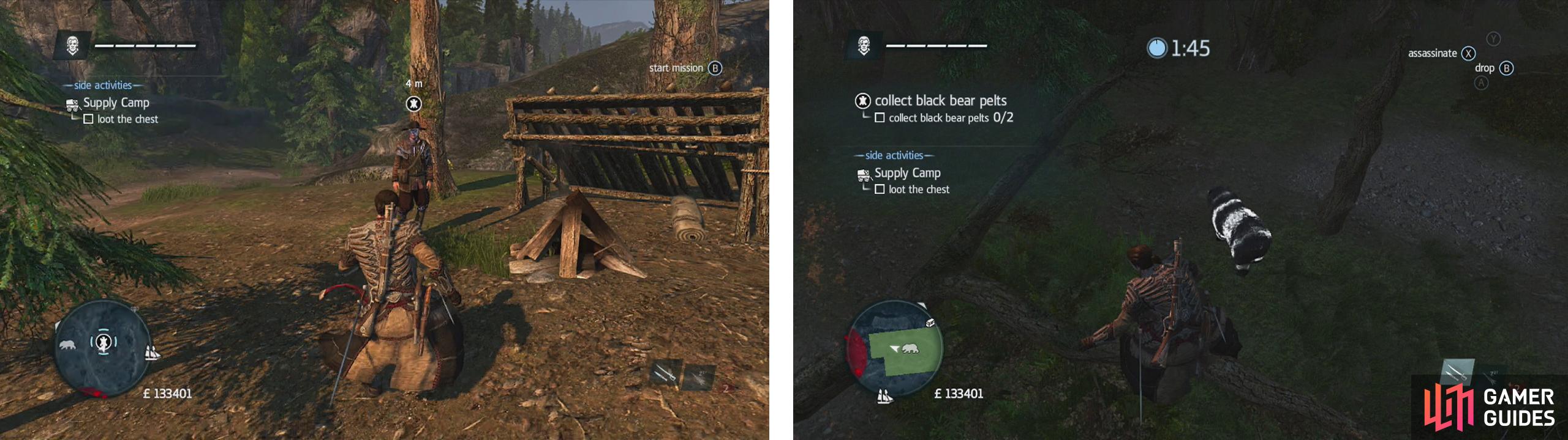 Approach the hunter to start the challenge (left). Use air assassinations or approach bears to initiate the button mash sequence to take them down and skin them (right).