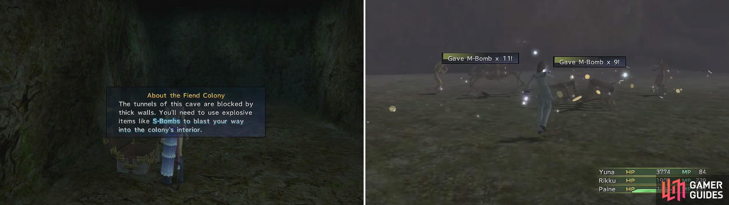 Bombs are needed for blowing up walls inside the colony (left). You can collect more from killing enemies (right).