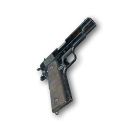 Item icon