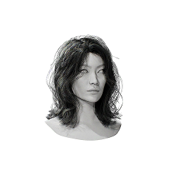 Item icon