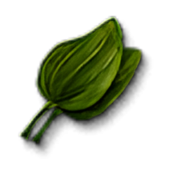 Item icon