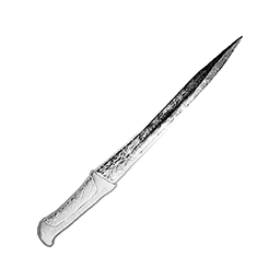 Item icon