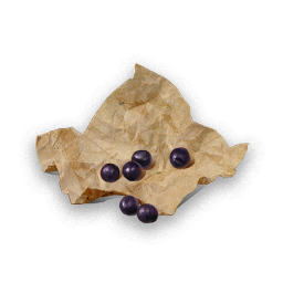 Item icon