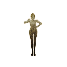 Item icon