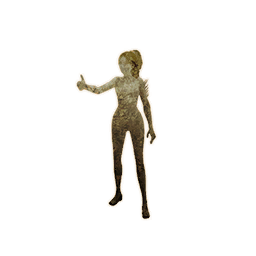 Item icon