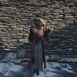 Item icon