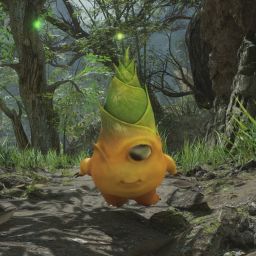 Item icon