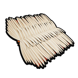Item icon