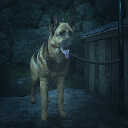 Item icon
