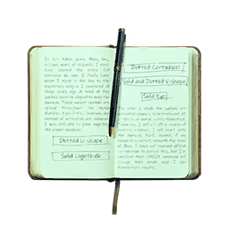 Item icon