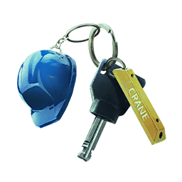 Item icon