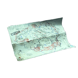 Item icon