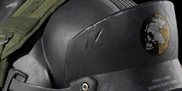 Item icon