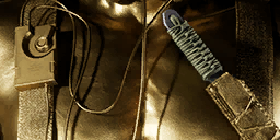 Item icon