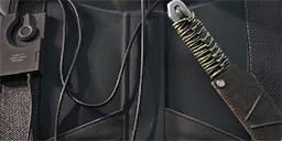 Item icon