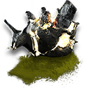 Item icon