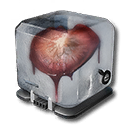 Item icon