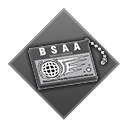 Item icon