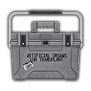 Item icon