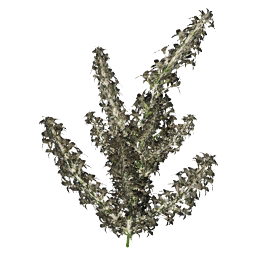 Item icon