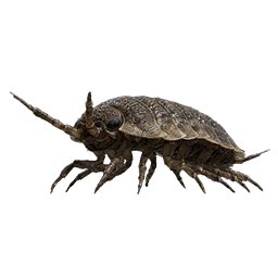 Item icon