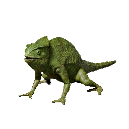 Item icon