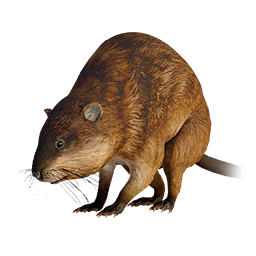Item icon