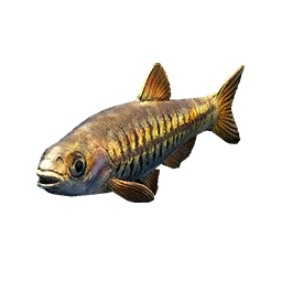 Item icon