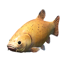 Item icon