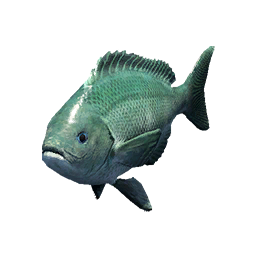Item icon