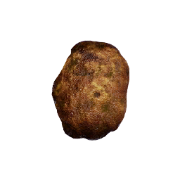 Item icon