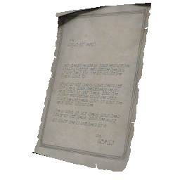 Item icon