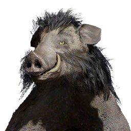 Item icon