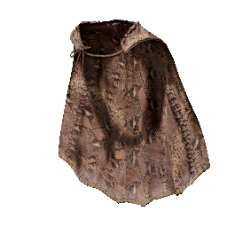 Item icon